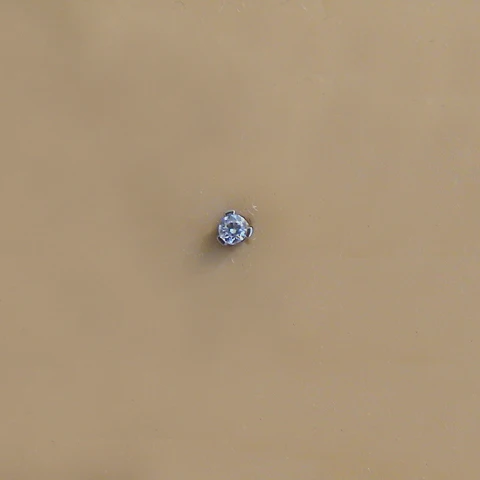 Microdermal avec strass